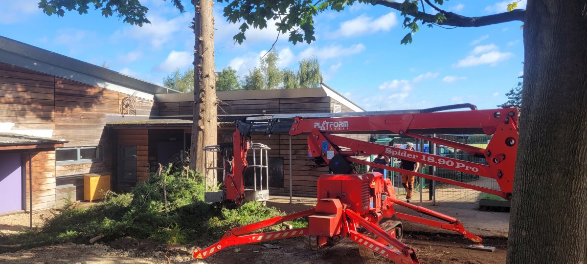 Photo shows, tracked spider cherrypicker setup in Newark, nottinghamshire ready to help remove a tree at a primary school