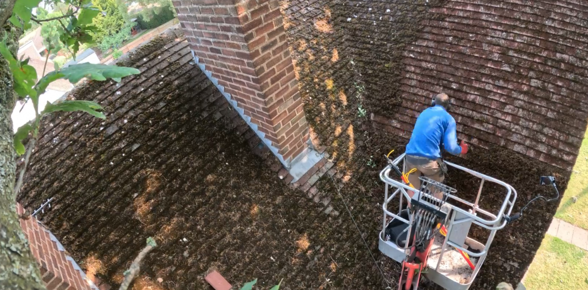 image shows Danny Iwanejko (Dan The Cherrypickerman) Removing moss from a roof
