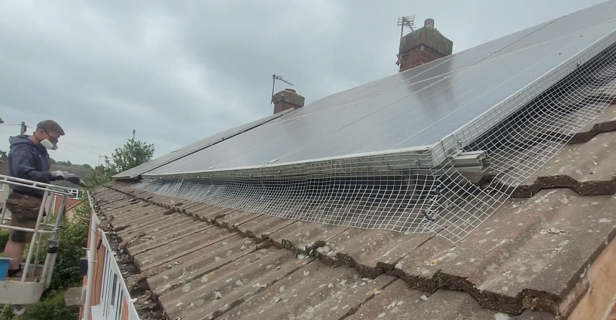 the photo show a bird mesh installation around solar panels